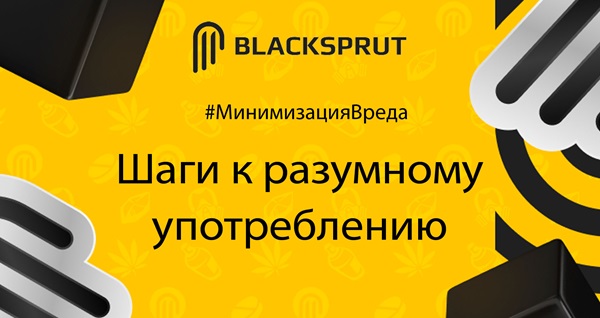 Аккаунт блэк спрут
