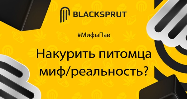 BlackSprut ссылка зеркало BlackSprutweb one